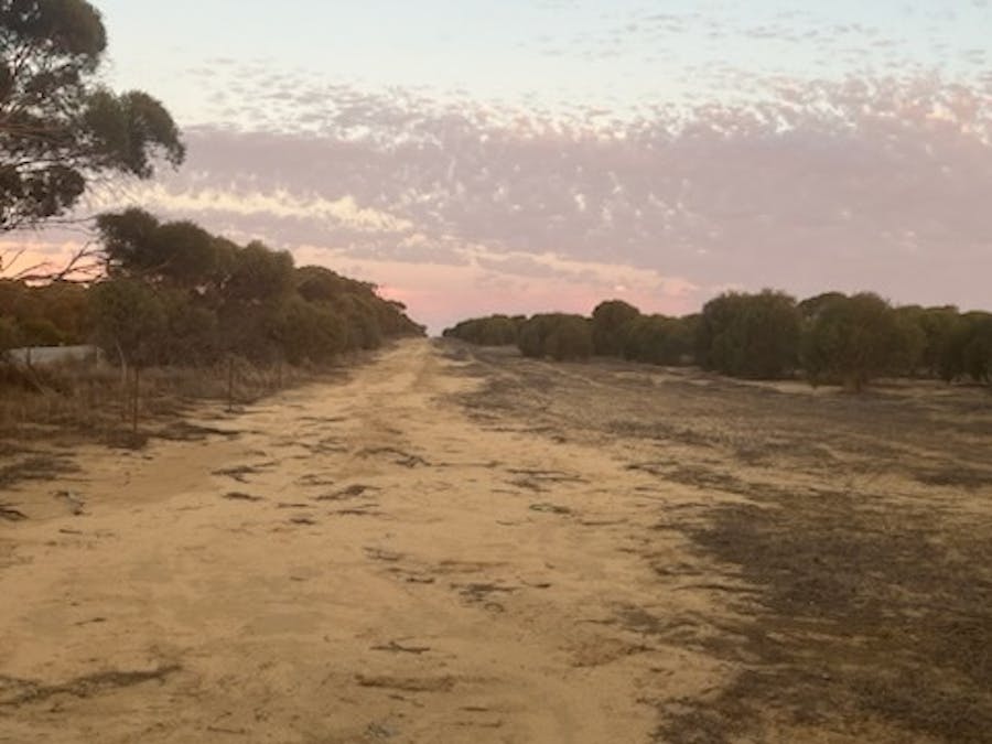 1236/Burakin - Beacon Road, Kulja, WA, 6470 - Image 5