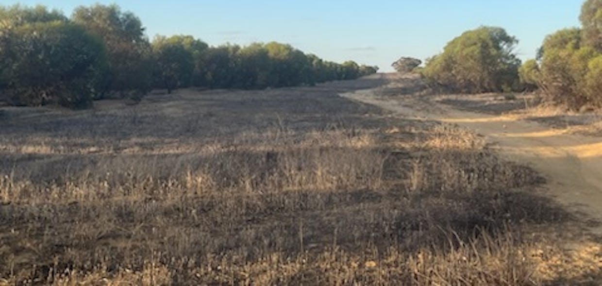 1236/Burakin - Beacon Road, Kulja, WA, 6470 - Image 9