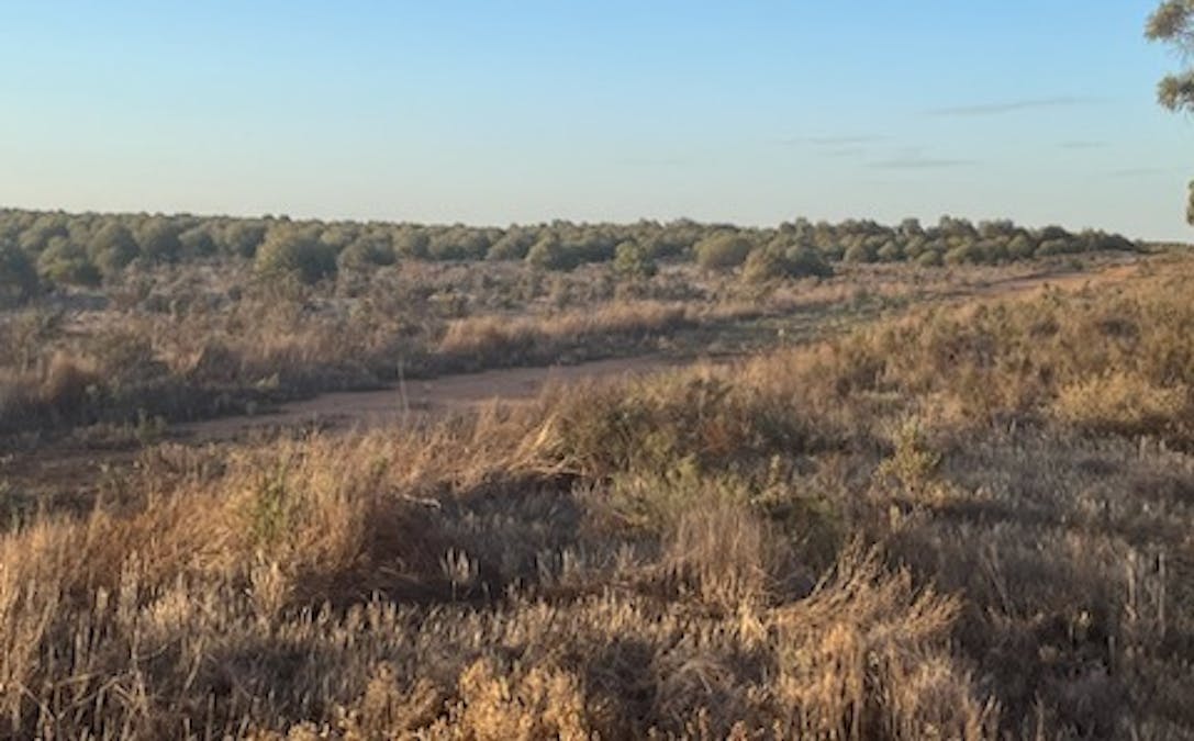 1236/Burakin - Beacon Road, Kulja, WA, 6470 - Image 10