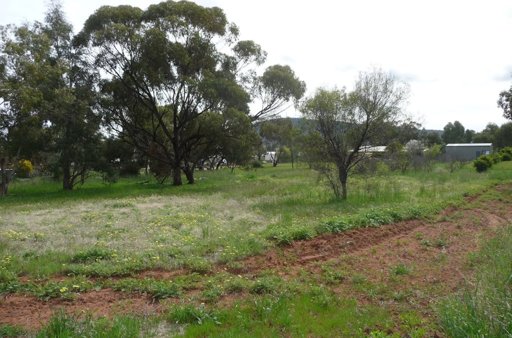 13 Lincoln Street, York, WA, 6302 - Image 2