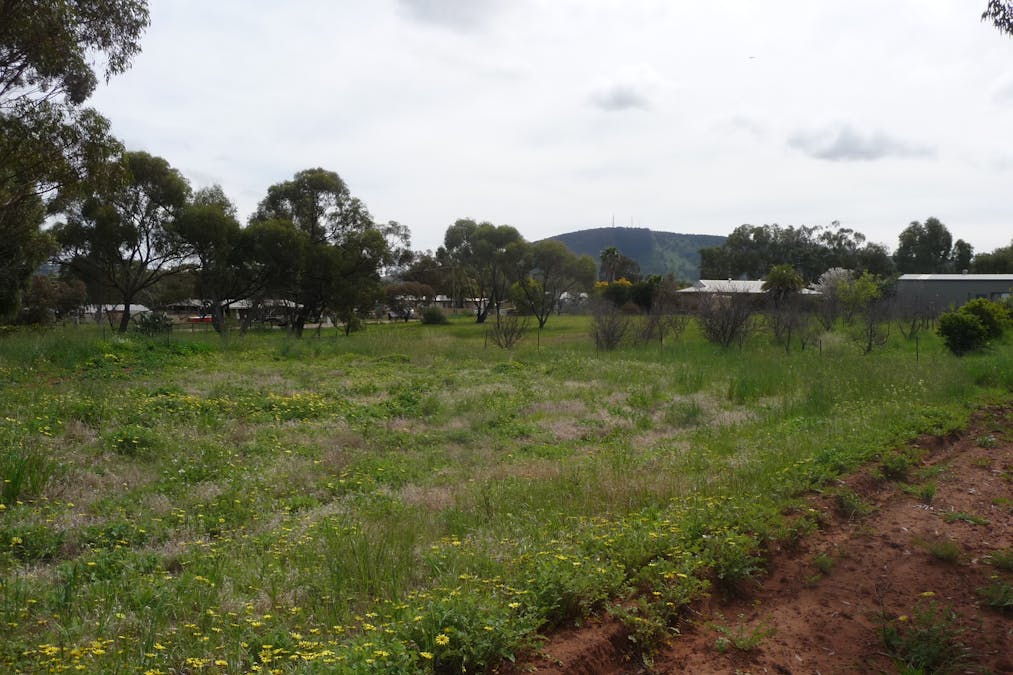 13 Lincoln Street, York, WA, 6302 - Image 3