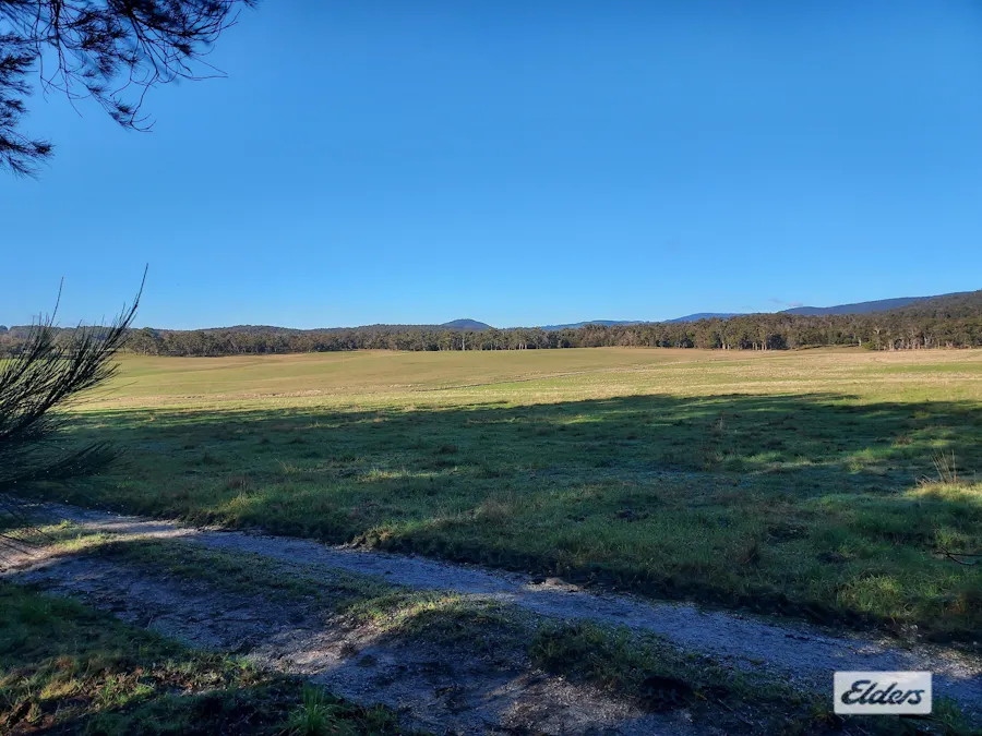 Greens Beach Road, York Town, TAS, 7270 - Image 10