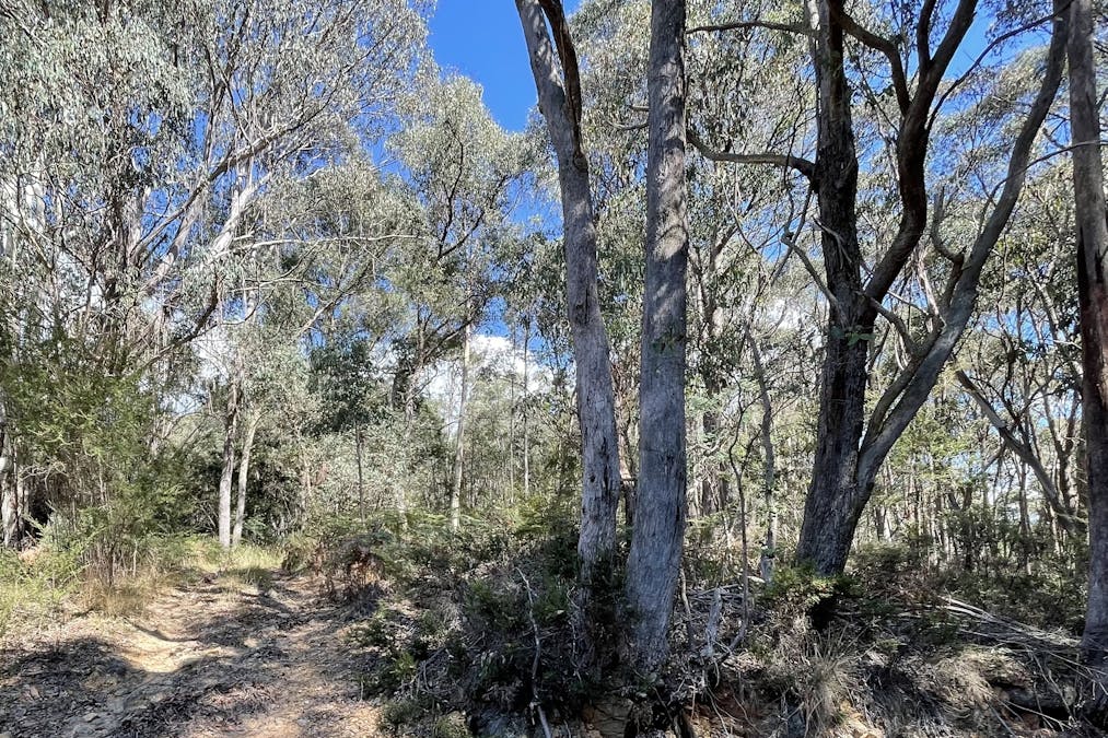 3/McDougal Street, Woods Point, VIC, 3723 - Image 1