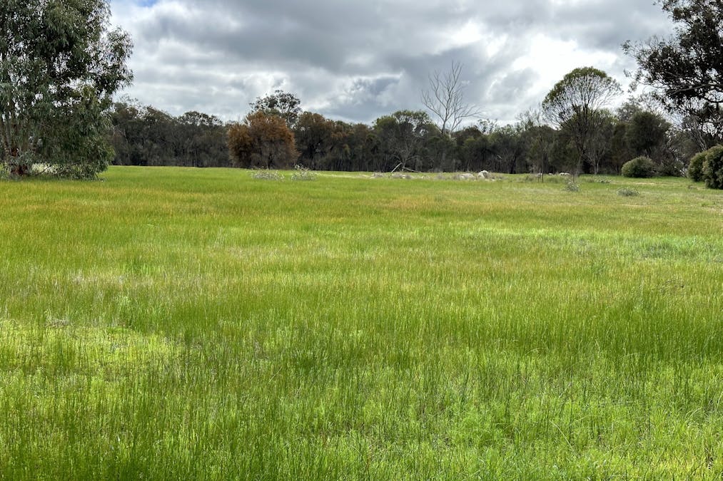 4 Carlton Street, Woodanilling, WA, 6316 - Image 3