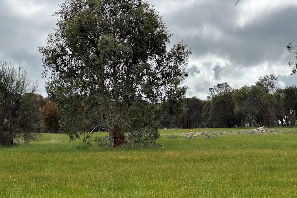 4 Carlton Street, Woodanilling, WA, 6316 - Image 5