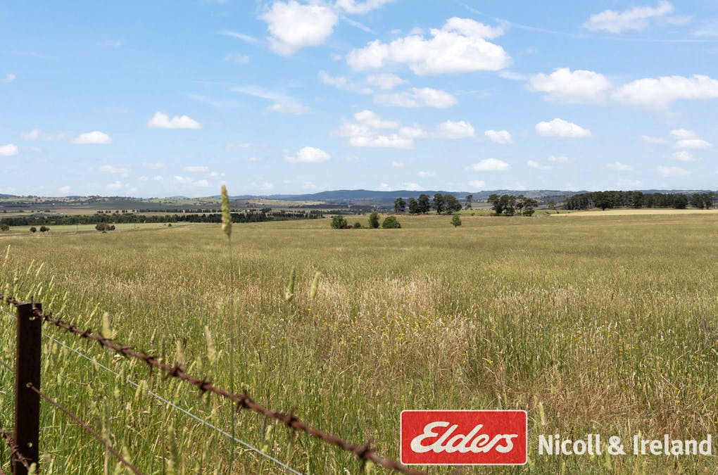 3671 O'Connell Road, Brewongle, NSW, 2795 - Image 23