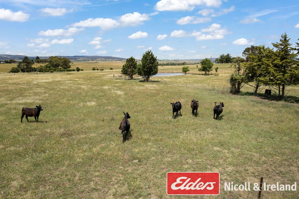 3671 O'Connell Road, Brewongle, NSW, 2795 - Image 30