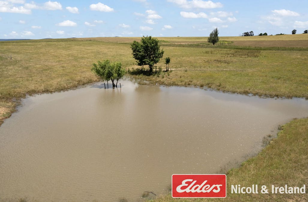 3671 O'Connell Road, Brewongle, NSW, 2795 - Image 31
