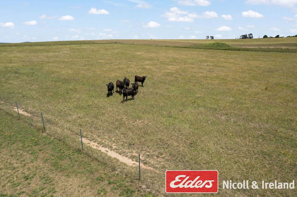 3671 O'Connell Road, Brewongle, NSW, 2795 - Image 33