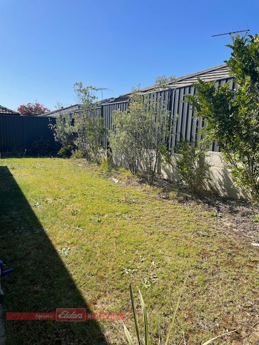 42 Bristlebird Approach, Baldivis, WA, 6171 - Image 12