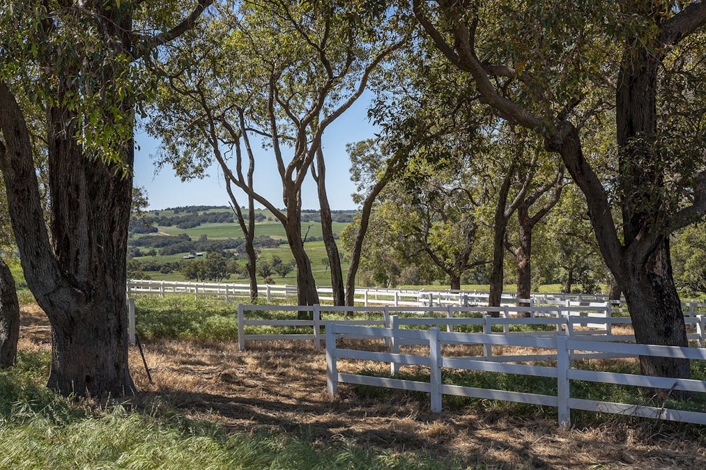 1527 Mooliabeenee Road, Lennard Brook, WA, 6503 - Image 5