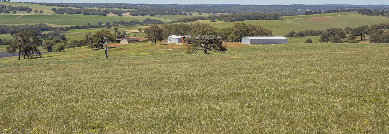 1527 Mooliabeenee Road, Lennard Brook, WA, 6503 - Image 2