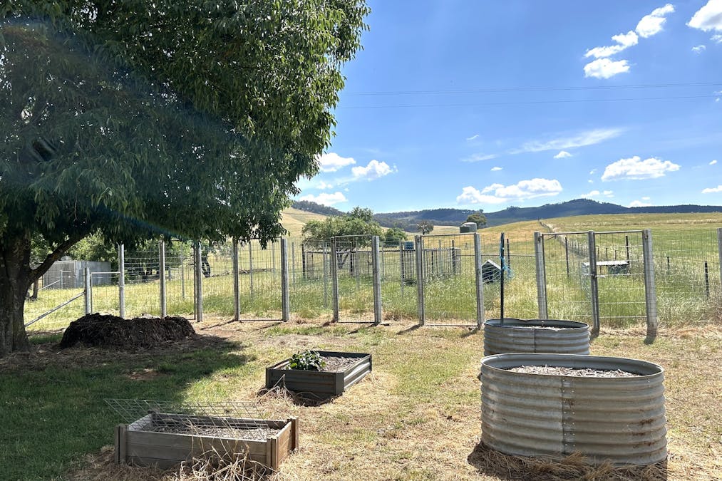 3486 Jingellic Road, Lankeys Creek, NSW, 2644 - Image 14