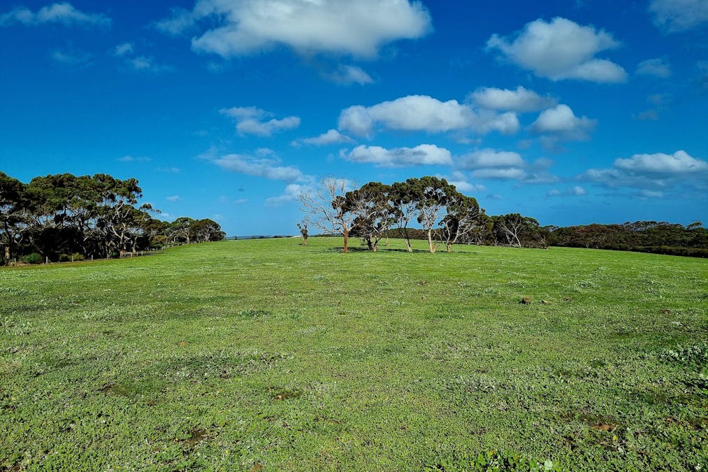 1/958 Crabbs Road, Newland, SA, 5223 - Image 1