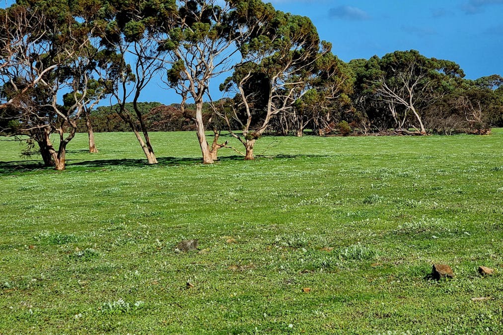 1/958 Crabbs Road, Newland, SA, 5223 - Image 2