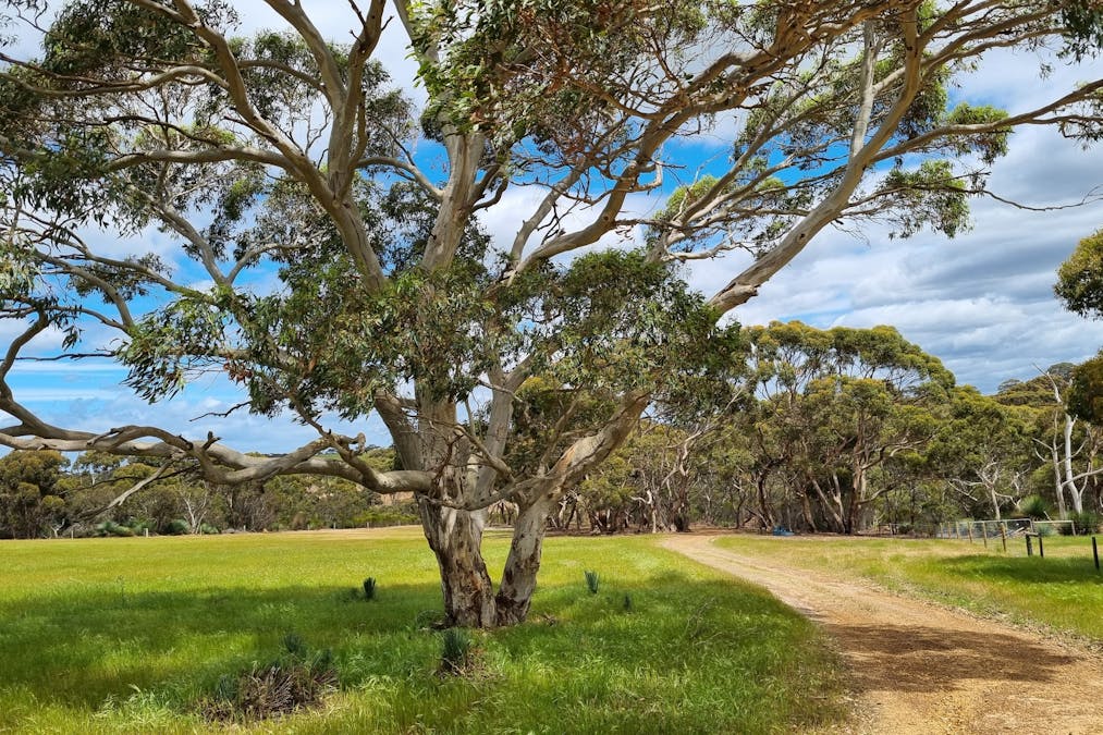 1/958 Crabbs Road, Newland, SA, 5223 - Image 10