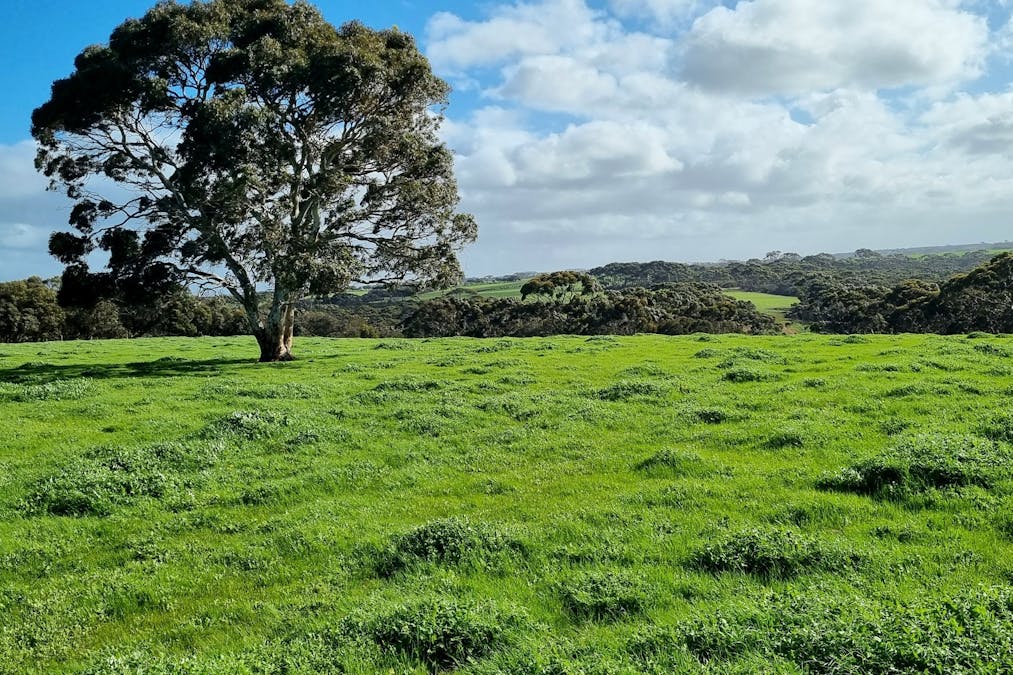 1/958 Crabbs Road, Newland, SA, 5223 - Image 13