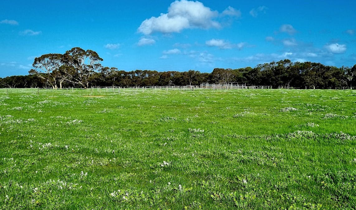 1/958 Crabbs Road, Newland, SA, 5223 - Image 16