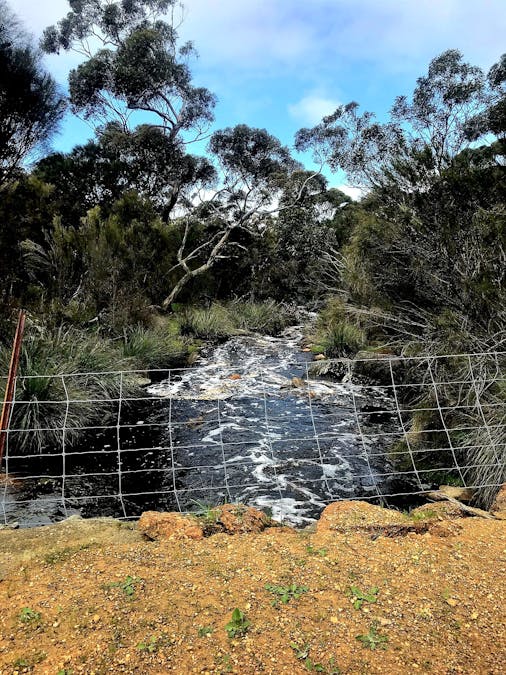 1/958 Crabbs Road, Newland, SA, 5223 - Image 22
