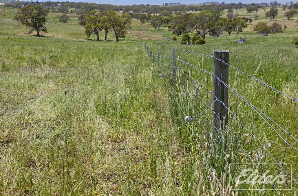 70 Scottsburn Road, Woodside, SA, 5244 - Image 6