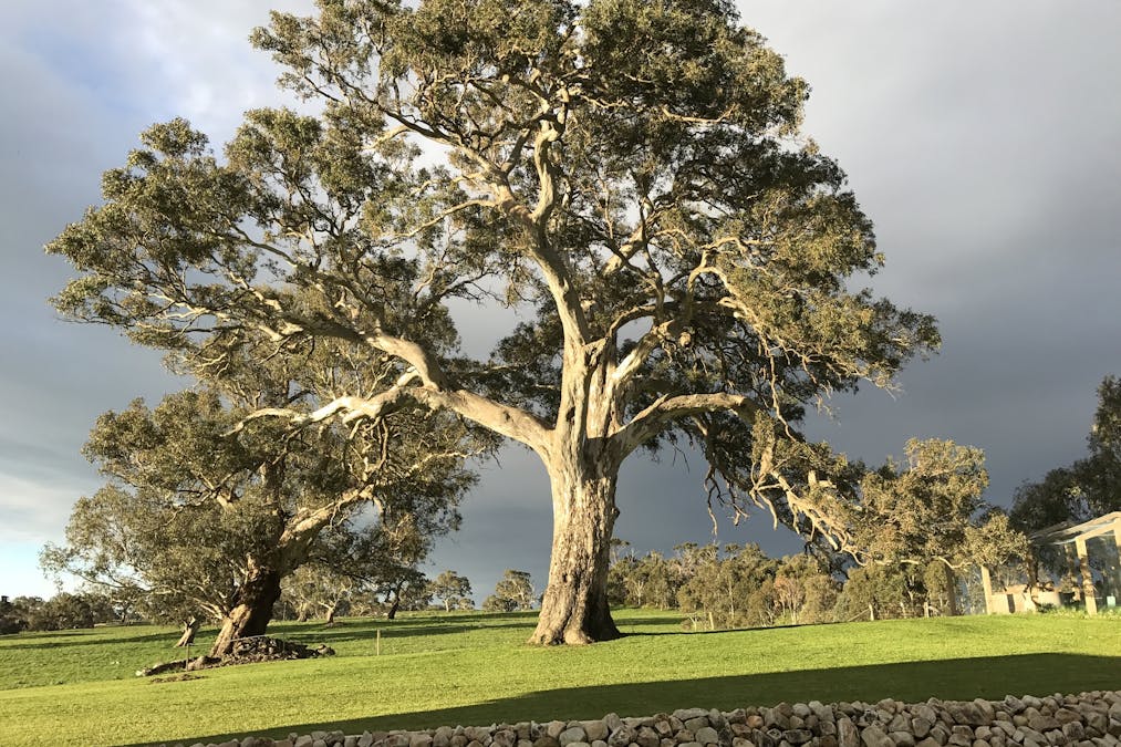 70 Scottsburn Road, Woodside, SA, 5244 - Image 7