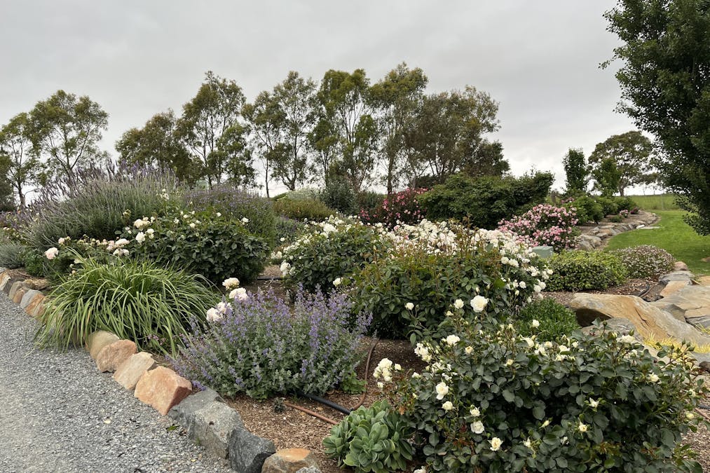 70 Scottsburn Road, Woodside, SA, 5244 - Image 13