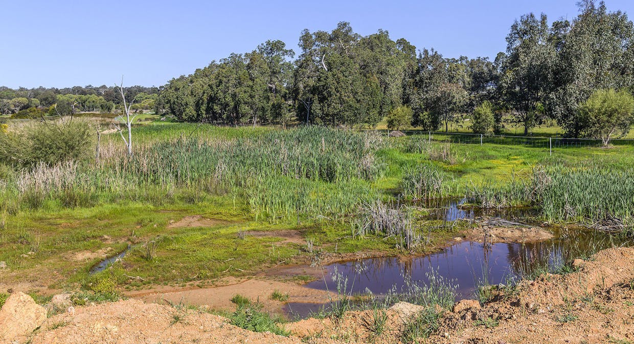 Guernsey Rise, Lower Chittering, WA, 6084 - Image 5