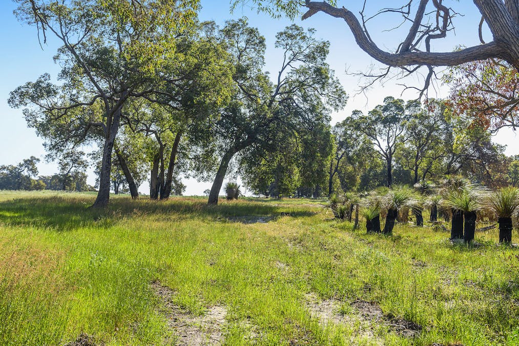 Guernsey Rise, Lower Chittering, WA, 6084 - Image 7