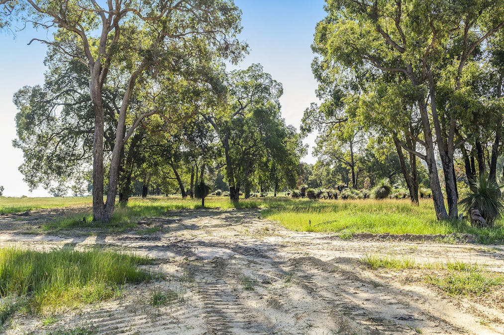 Guernsey Rise, Lower Chittering, WA, 6084 - Image 8
