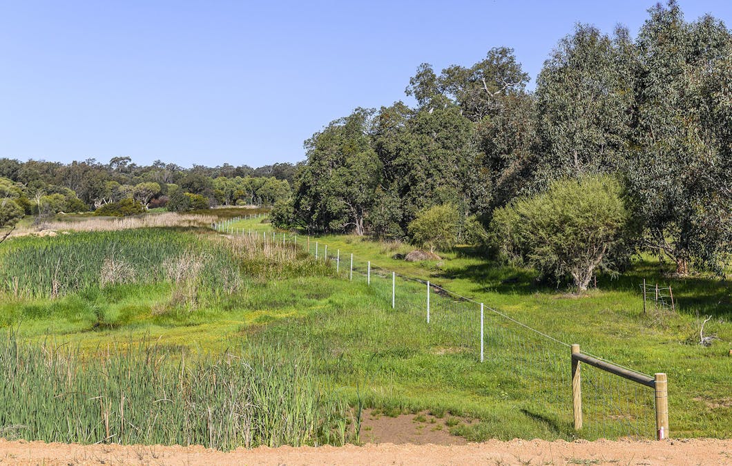 Guernsey Rise, Lower Chittering, WA, 6084 - Image 9
