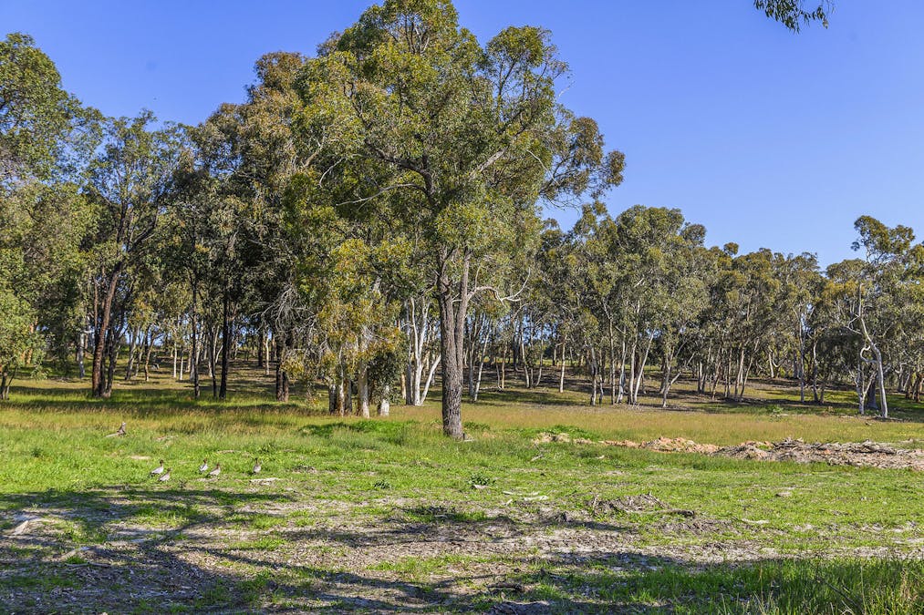 Guernsey Rise, Lower Chittering, WA, 6084 - Image 10