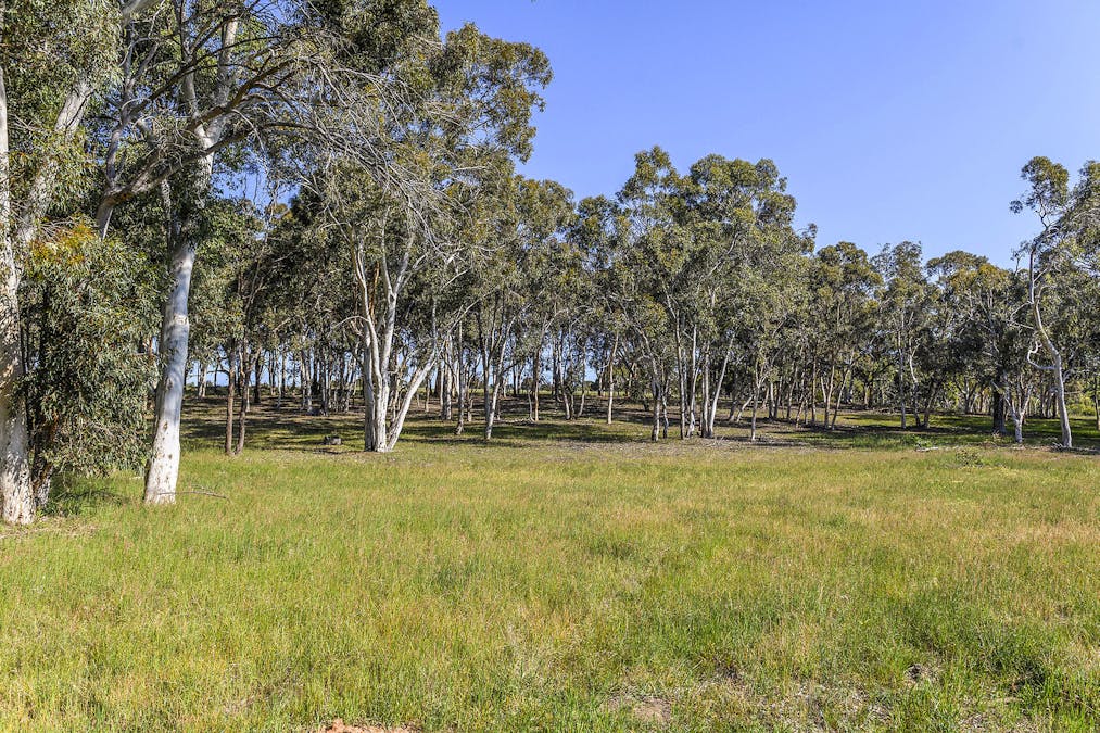 Guernsey Rise, Lower Chittering, WA, 6084 - Image 11
