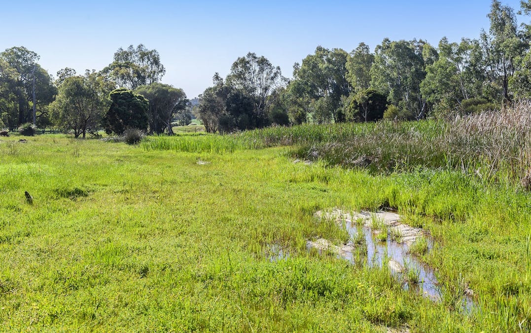 Guernsey Rise, Lower Chittering, WA, 6084 - Image 12