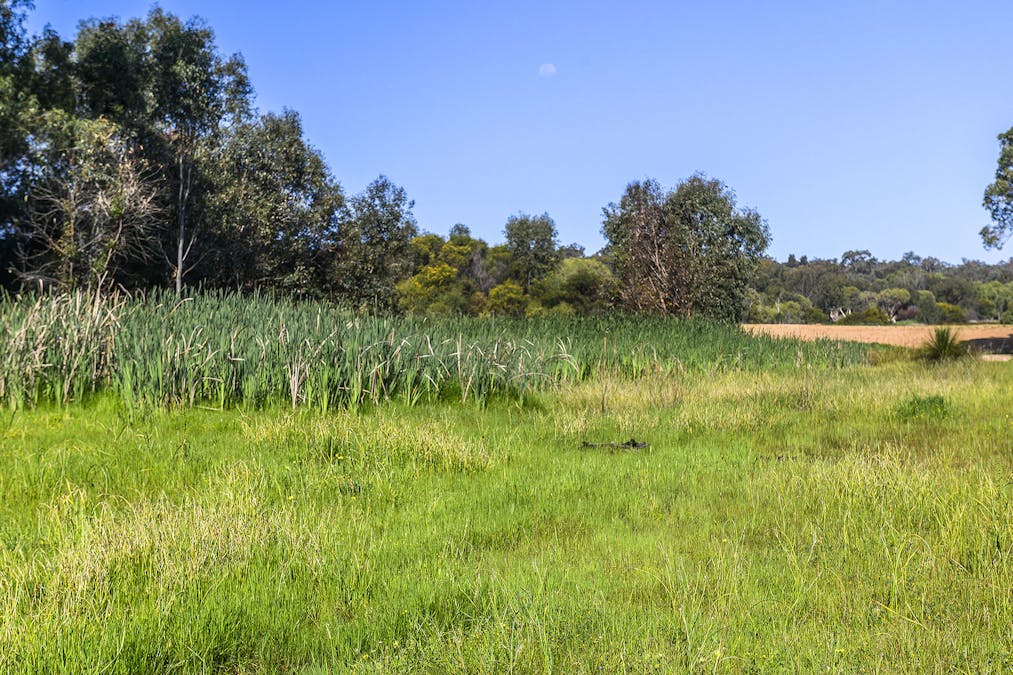 Guernsey Rise, Lower Chittering, WA, 6084 - Image 13