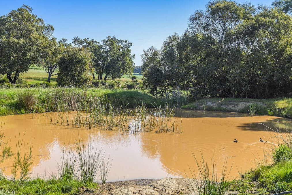 Guernsey Rise, Lower Chittering, WA, 6084 - Image 14
