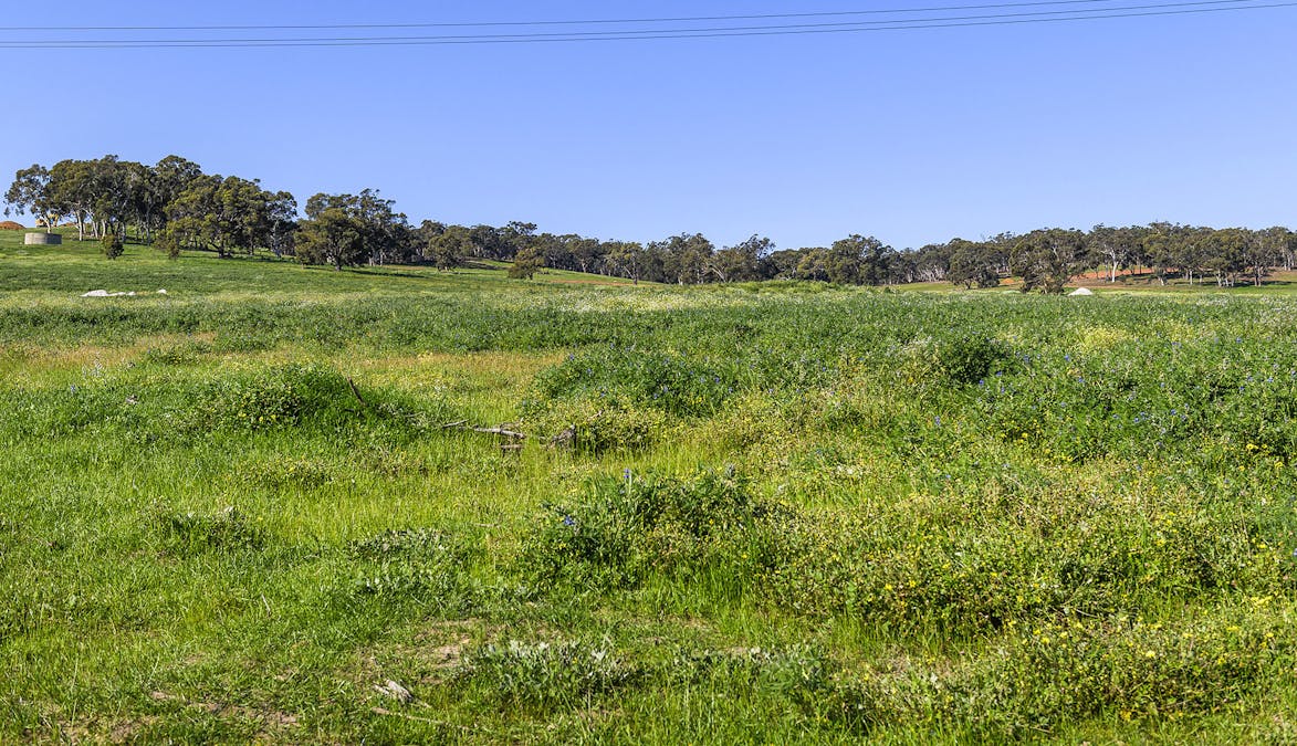 Guernsey Rise, Lower Chittering, WA, 6084 - Image 15