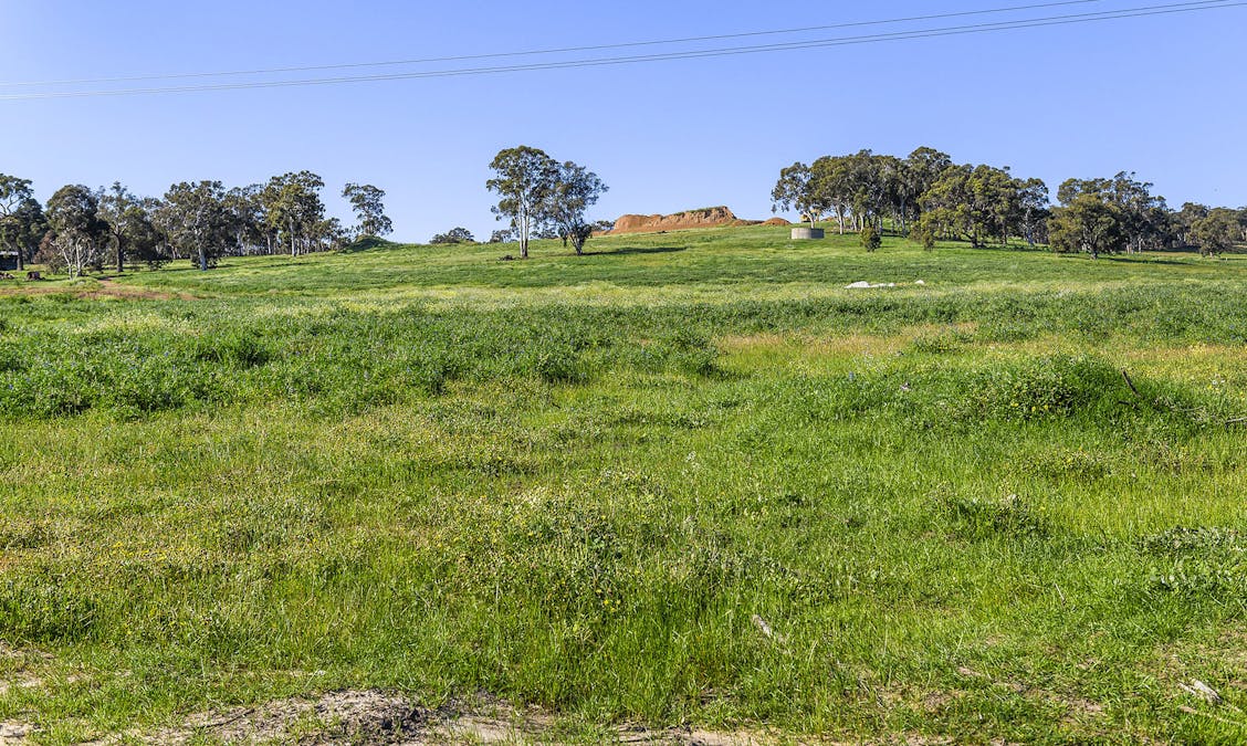 Guernsey Rise, Lower Chittering, WA, 6084 - Image 16