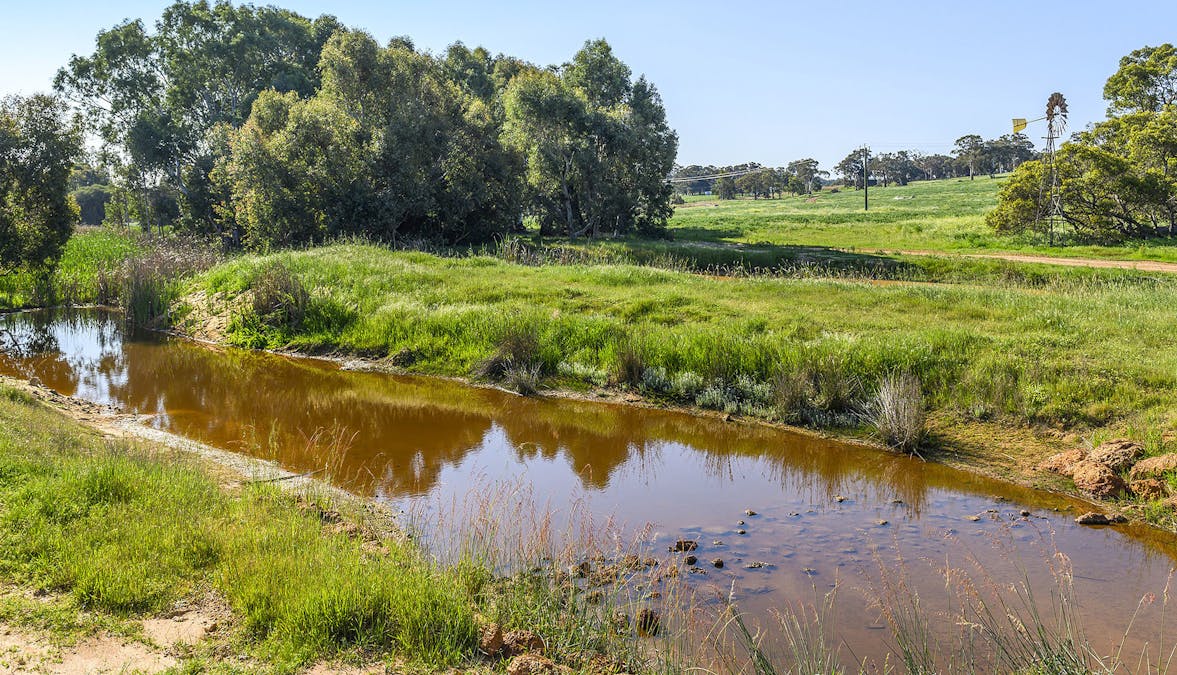Guernsey Rise, Lower Chittering, WA, 6084 - Image 17