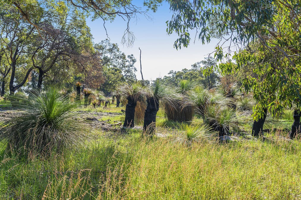 Guernsey Rise, Lower Chittering, WA, 6084 - Image 19