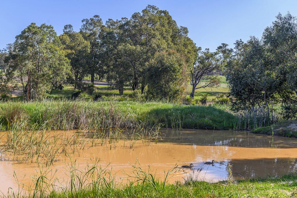 Guernsey Rise, Lower Chittering, WA, 6084 - Image 20