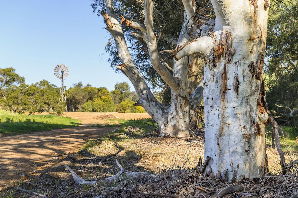 Guernsey Rise, Lower Chittering, WA, 6084 - Image 22