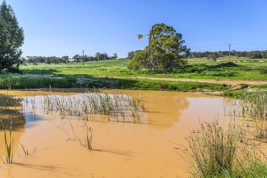 Guernsey Rise, Lower Chittering, WA, 6084 - Image 23