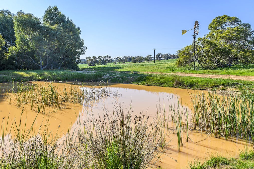 Guernsey Rise, Lower Chittering, WA, 6084 - Image 25