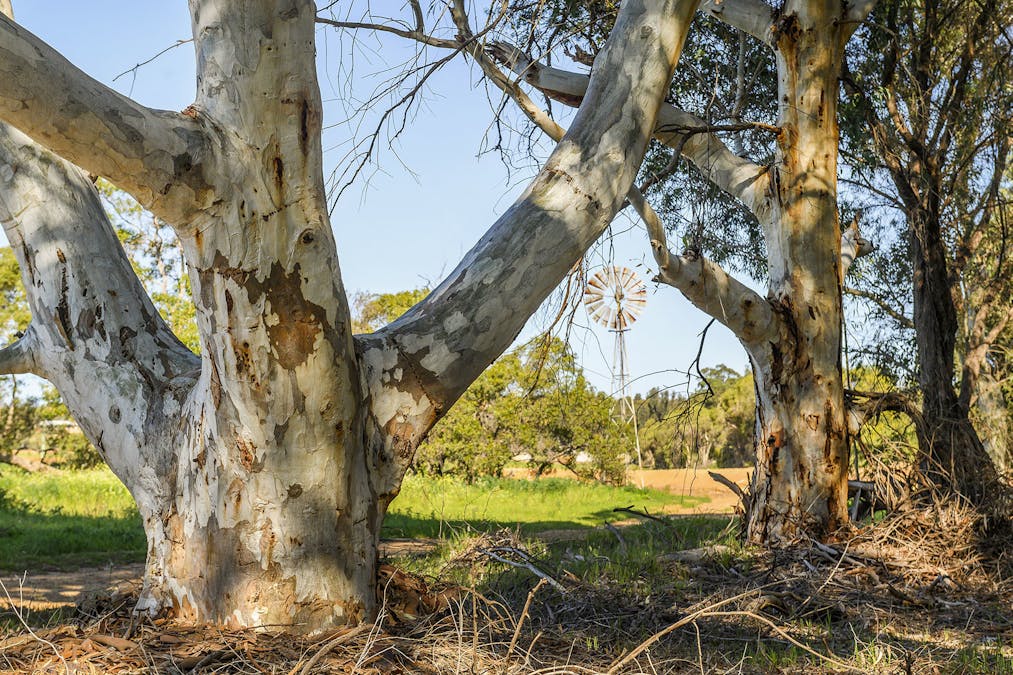 Guernsey Rise, Lower Chittering, WA, 6084 - Image 27