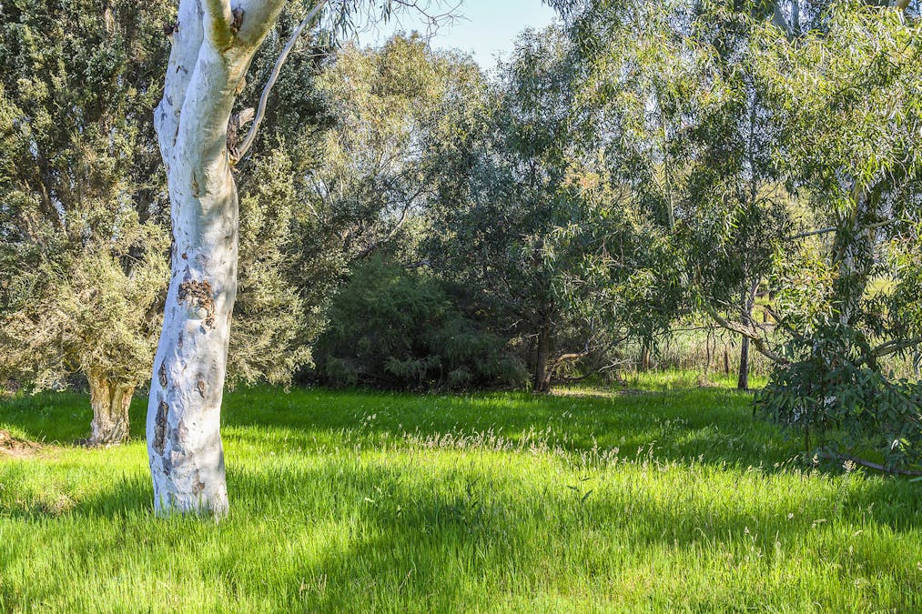 Guernsey Rise, Lower Chittering, WA, 6084 - Image 28