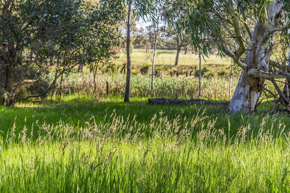 Guernsey Rise, Lower Chittering, WA, 6084 - Image 29