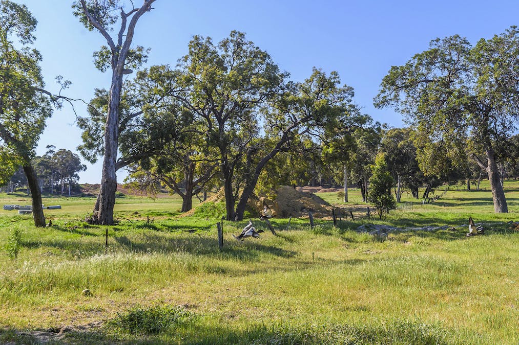 Guernsey Rise, Lower Chittering, WA, 6084 - Image 34