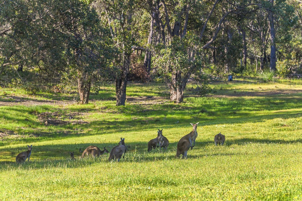 Guernsey Rise, Lower Chittering, WA, 6084 - Image 35
