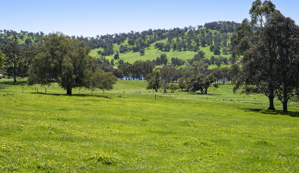 54/Chittering Valley Road, Lower Chittering, WA, 6084 - Image 3