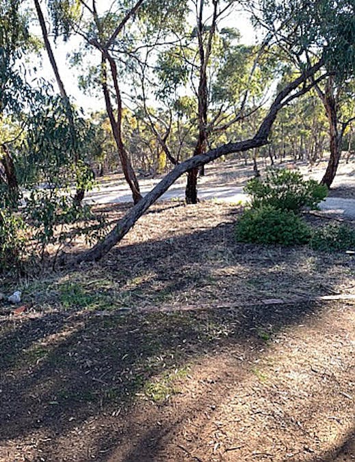 23 Maggies Farm Road, Clare, SA, 5453 - Image 9